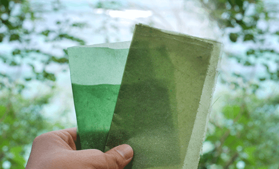 New ecological bags made of edible material